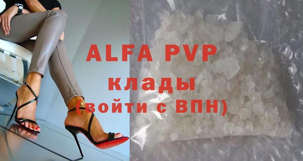 PSILOCYBIN Балабаново
